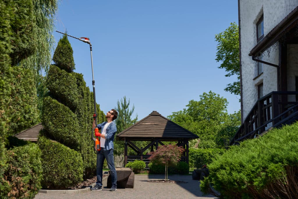 Skilful male landscaper trimming bushes.